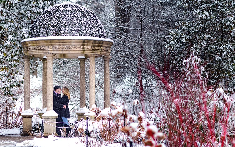 Longwood Gardens Engagement Photography 9 New Jersey Wedding